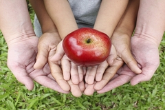 Apple Hands
